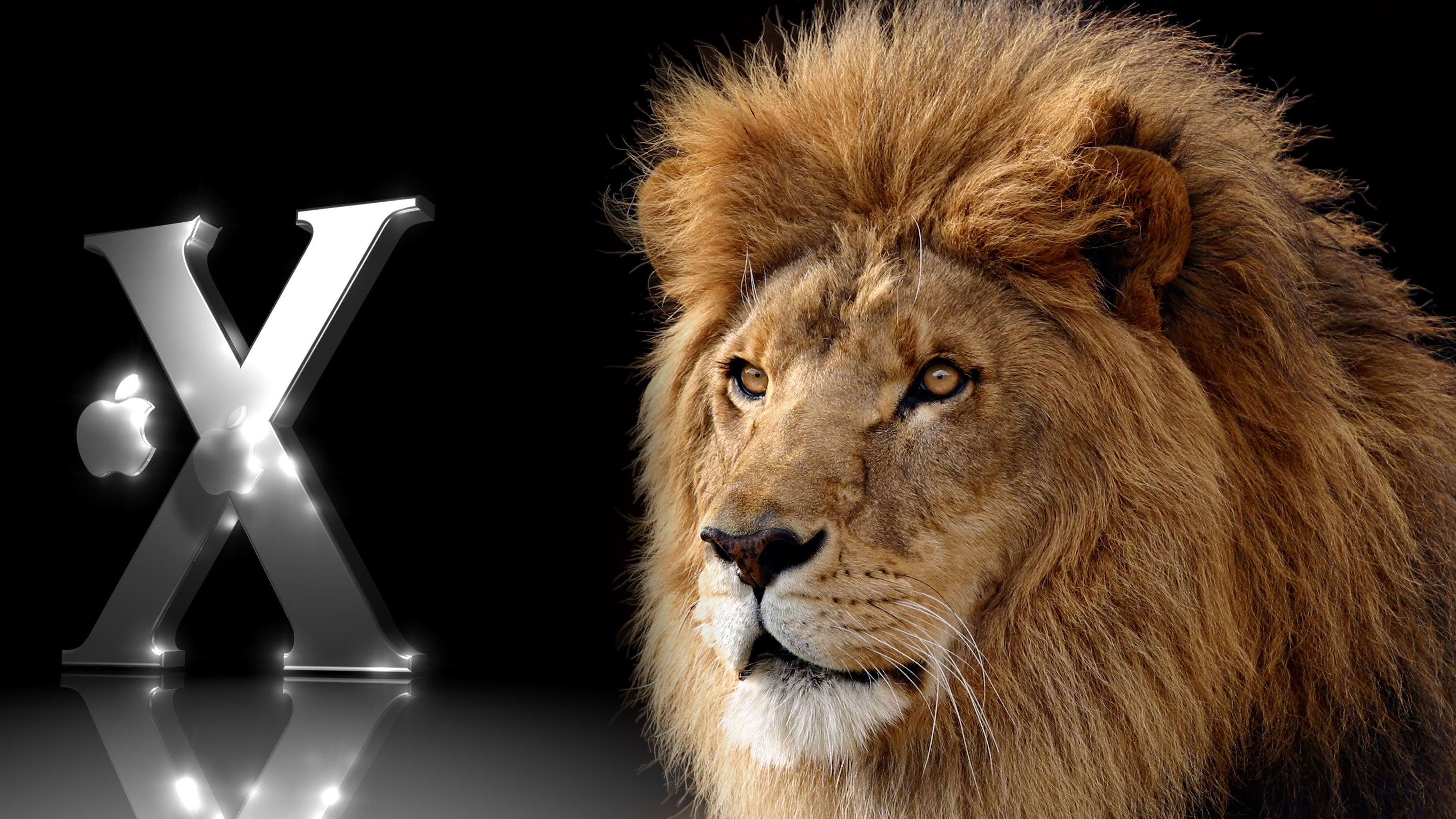 Mac OSX Lion